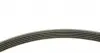 529021310 Комплект ременя генератора Citroen C3/C4/Peugeot 206/307 1.4/1.6 HDi 02- (6PK800) INA підбір по vin на Brocar