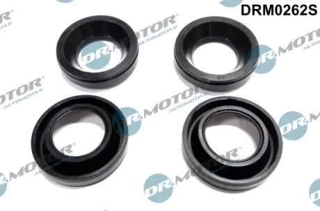 DRM0262S Сальник 4 шт., к-т DR.MOTOR подбор по vin на Brocar