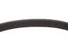 529036210 ZESTAW PASKA KLINOWEGO WIELOROWKOWEGO BMW CITROEN INA підбір по vin на Brocar