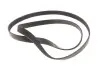 529036210 ZESTAW PASKA KLINOWEGO WIELOROWKOWEGO BMW CITROEN INA підбір по vin на Brocar