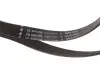 529036210 ZESTAW PASKA KLINOWEGO WIELOROWKOWEGO BMW CITROEN INA підбір по vin на Brocar