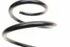 4027597 Пружина (передня) Ford Fusion 1.4/1.6 02-04 (універсал) LESJOFORS підбір по vin на Brocar