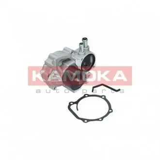 T0261 Насос охолоджувальної рідини, охолодження двигуна KAMOKA підбір по vin на Brocar
