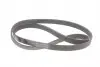 6PK1515K1 Комплект ремня генератора Hyundai Elantra III/Santa Fe I-II/Sonata V 2.0D/2.2D 01- CONTITECH підбір по vin на Brocar