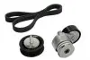 529016510 Комплект ременя генератора Renault Kangoo/Megane/Scenic 1.5 dCi 02- (6PK1130) INA підбір по vin на Brocar