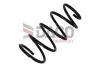 Sprężyna zaw. KIA RIO II 1.5 CRDI 05- Przód 801705