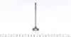 PREN019A0N Клапан (выпуск) Renault Kangoo 1.6 16V 01- (28x5.5x107.5) (азотированные) PARADOWSCY AMP підбір по vin на Brocar