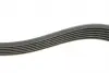 529016010 Комплект ременя генератора Skoda Fabia/VW Polo 1.0/1.6 14- (6PK989) INA підбір по vin на Brocar