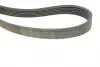 529016010 Комплект ременя генератора Skoda Fabia/VW Polo 1.0/1.6 14- (6PK989) INA підбір по vin на Brocar