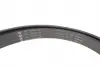 529039710 ZESTAW PASKA KLINOWEGO WIELOROWKOWEGO FORD INA підбір по vin на Brocar
