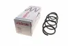 Пружина (передняя) VW Polo 1.4TDI 01-09 (осн. BlueMotion)/Fox 1.2/1.4 05-11 (накл.зад.часть) 4095087