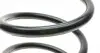 4015619 Пружина (передня) Citroen Jumper/Fiat Ducato/Peugeot Boxer 1.9D/TD/2.0-2.8HDi/2.5D/TD 94-06 (фург) LESJOFORS підбір по vin на Brocar