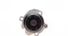 1777 Помпа води Seat Cordoba/Ibiza/Skoda Fabia/VW Polo 1.9SDI 99-12 AIRTEX підбір по vin на Brocar