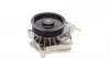 0819236 Помпа воды BMW 3 (E90/E91/E92) 06-13/X3 (E83) 04-10 TRUCKTEC підбір по vin на Brocar