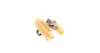PK08031XT Комплект ГРМ + помпа Mazda 3 1.6 MZR CD 10-13 (141x25.4) HEPU підбір по vin на Brocar