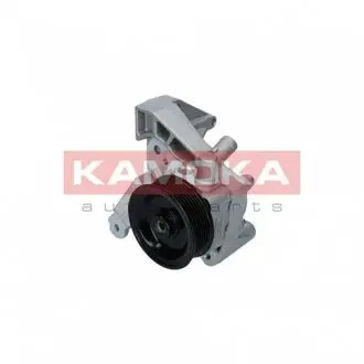 PP121 Гідравлічний насос, механізм рульового керування KAMOKA підбір по vin на Brocar