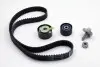 Комплект ГРМ Renault Kangoo/Dacia Logan/Sandero 1.4/1.6 16v 01- (K4M) 130C10178R