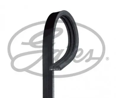 3PK800 Ремень поликлиновый Gates GATES подбор по vin на Brocar