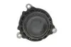 49393203 PODUSZKA SILNIKA BMW 3 TOURING (F31) CORTECO підбір по vin на Brocar