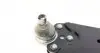 821026910 Рычаг подвески (передний) (L) Ford Fiesta/Fusion/Mazda 2 01-12 FAG підбір по vin на Brocar