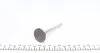 PDAE012A0D Клапан (выпуск) Daewoo Lanos 1.4i/1.5i 97- (31x7x103.7) (вальцевание) PARADOWSCY AMP підбір по vin на Brocar