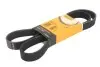 Ремінь генератора Renault Twingo III/Smart Fortwo 0.9/1.0 14- 7PK1377
