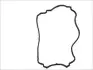 Прокладка крышки клапанов Renault Kangoo/Twingo 1.2 16V 01- 194.020