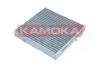 FILTR KABINOWY Z WKLADEM WEGLOWYM F517601