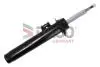 450316R Amortyzator BMW X1 2WD 09- gazowy DACO підбір по vin на Brocar