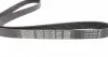 KPV276 Комплект ременя генератора Fiat Punto 1.3D 03-12/Panda 04-/Ford KA 1.3TDCi 08-16 DAYCO підбір по vin на Brocar