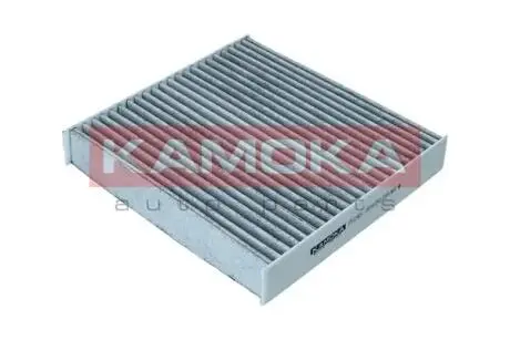 F512501 Фільтр повітря салону Z WKLADEM WEGLOWYM KAMOKA підбір по vin на Brocar