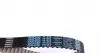 KTB715 Комплект ГРМ Citroen C5/C6/C8/Fiat/Ford/Peugeot 2.2HDI 06- DAYCO підбір по vin на Brocar