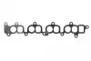 Прокладка колектора впускного Chevrolet Captiva/Opel Antara 2.0D 06- 373.580