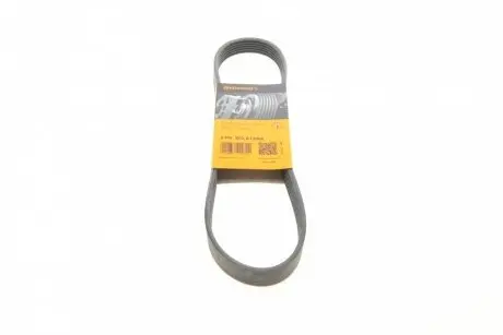6PK802EXTRA Ремінь генератора Smart Fortwo 1.0 07- CONTITECH підбір по vin на Brocar