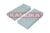 F421501 FILTR KABINOWY (KPL 2SZT) BMW KAMOKA підбір по vin на Brocar