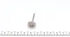 PFOR133A0N Клапан (выпуск) Ford Focus 1.8i 16V 03-12 (28x5.5x104.6) (азотированные) PARADOWSCY AMP підбір по vin на Brocar