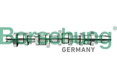B17861 Розподільний вал VW Caddy III 1.9TDI (BJB,BLS) 77kw 04-10/VW T5 1.9TDI (AXC,AXB) 63/77kw, 03-09 (OE VAG) BORSEHUNG підбір по vin на Brocar