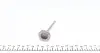 POPE028A0N Клапан (выпуск) Opel Astra G/H/Vectra B/Zafira A 1.8 16V 95-10 (27.5x5x100.8) (азотированные) PARADOWSCY AMP підбір по vin на Brocar