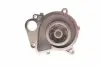 0819058 Помпа води BMW 3 (E46) 318d/320d 98-03 TRUCKTEC підбір по vin на Brocar