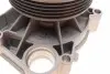 0819058 Помпа води BMW 3 (E46) 318d/320d 98-03 TRUCKTEC підбір по vin на Brocar