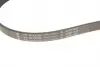 529006710 Комплект ремня генератора Ford Fiesta 1.3 01-08 (6PK2193) INA підбір по vin на Brocar