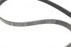 529009610 Комплект ременя генератора VW Passat 96-05 (5PK1300) INA підбір по vin на Brocar