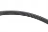 529009610 Комплект ременя генератора VW Passat 96-05 (5PK1300) INA підбір по vin на Brocar