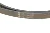 529025310 Комплект ремня генератора Land Rover Freelander 2.0 Td4 4x4 00-06 (5PK875/5PK2030) INA підбір по vin на Brocar