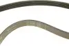529025310 Комплект ремня генератора Land Rover Freelander 2.0 Td4 4x4 00-06 (5PK875/5PK2030) INA підбір по vin на Brocar