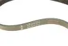 529025310 Комплект ремня генератора Land Rover Freelander 2.0 Td4 4x4 00-06 (5PK875/5PK2030) INA підбір по vin на Brocar