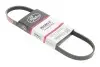 4PK725XS Ремень поликлиновый Gates GATES підбір по vin на Brocar