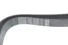 8PK2092 Поліклиновий ремінь 8PK2092 DAYCO DAYCO підбір по vin на Brocar