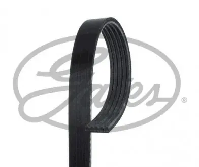 5PK895 Ремень поликлиновой Gates GATES підбір по vin на Brocar