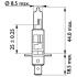 13258MDC1 Автолампа Philips 13258mdc1 MasterDuty H1 P14, 5s 70 W прозора PHILIPS підбір по vin на Brocar
